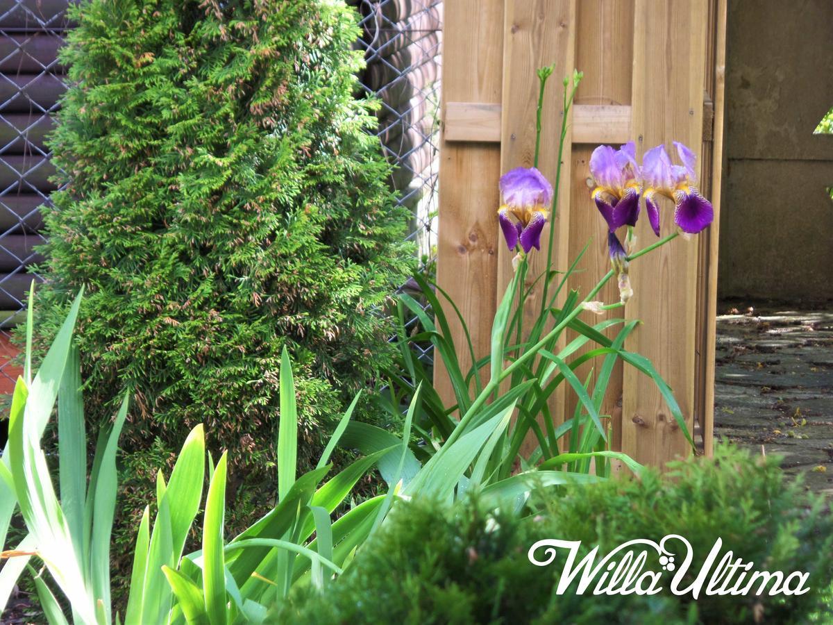 Willa Ultima Łeba Exterior foto